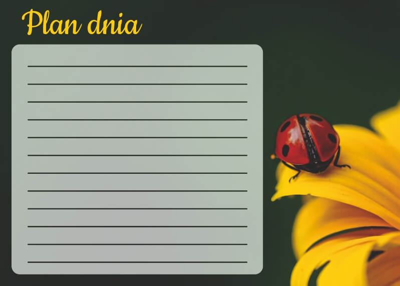 Plan dnia tablica suchościeralna biedronka 358