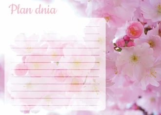 Plan dnia tablica suchościeralna kwiat wiśni 359