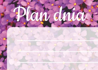 Plan dnia tablica suchościeralna kwiatki 360