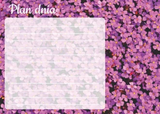 Plan dnia tablica suchościeralna kwiatki 360