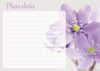 Plan dnia tablica suchościeralna kwiaty 357