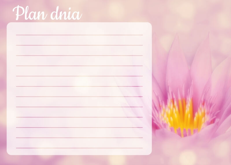 Plan dnia tablica suchościeralna lotos 361