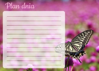 Plan dnia tablica suchościeralna motyl 366