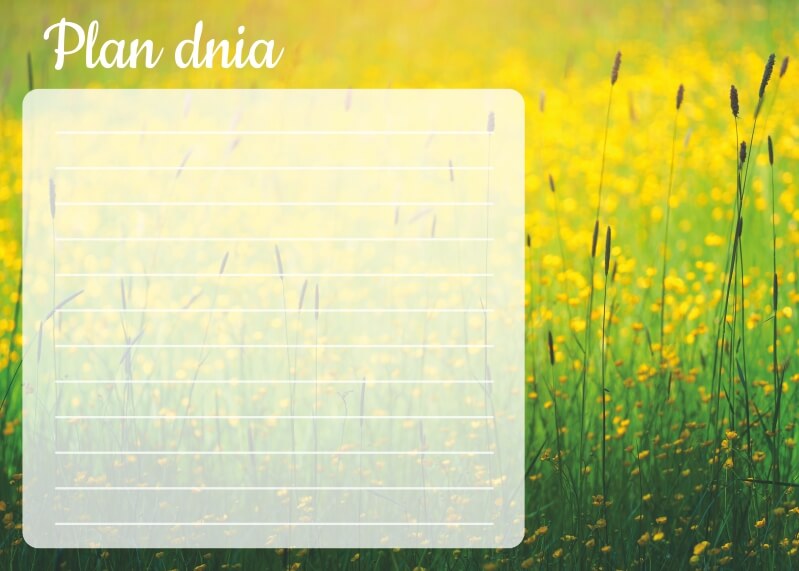 Plan dnia tablica suchościeralna trawy 364