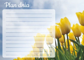 Plan dnia tablica suchościeralna tulipany 362