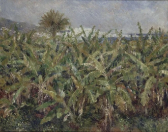 Reprodukcja Champ de bananiers, Renoir Auguste