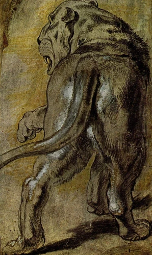 Reprodukcja Lowin, Peter Paul Rubens