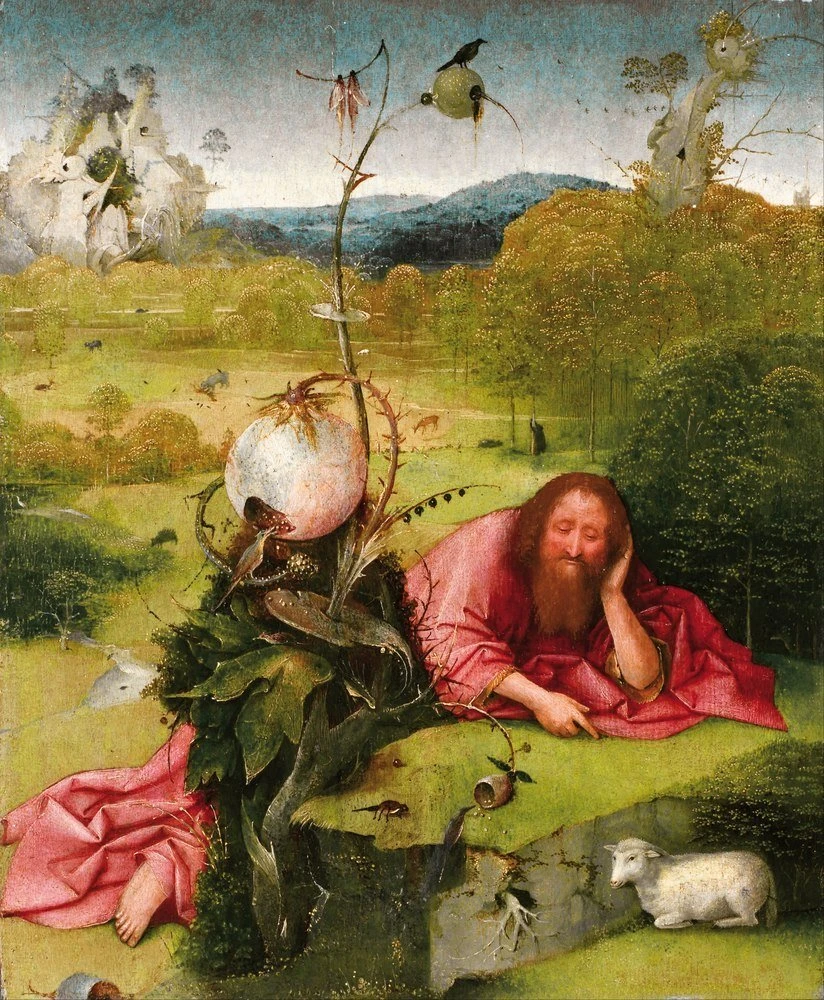 Reprodukcja Saint John the Baptist in the Wilderness, Hieronymus Bosch