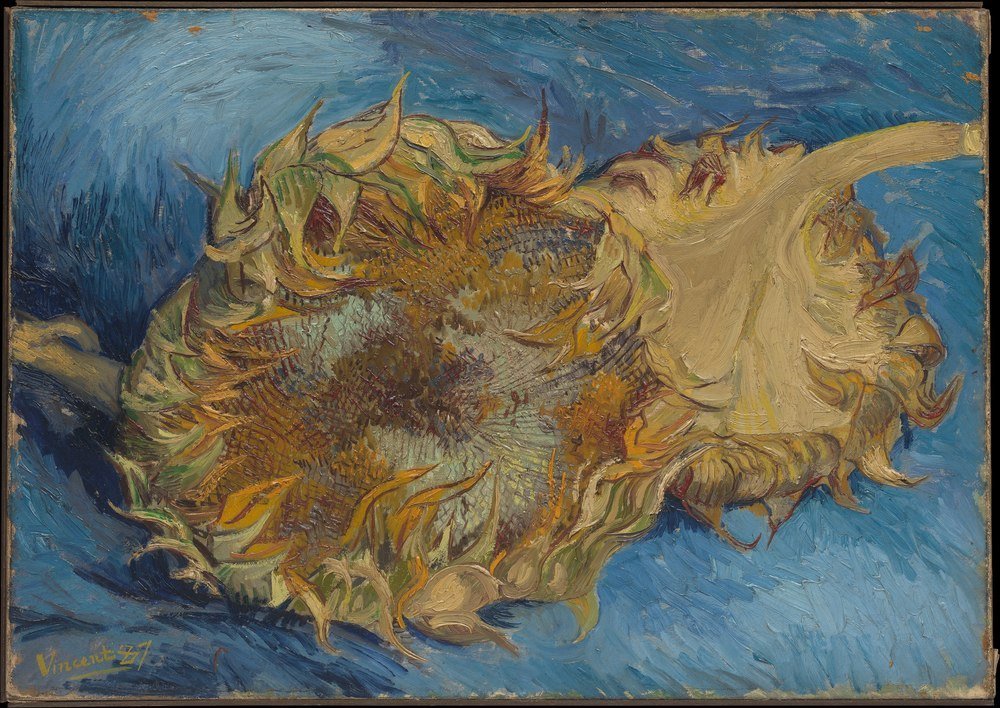 Reprodukcja Sunflowers, Vincent van Gogh