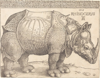 Reprodukcja The Rhinoceros, Albrecht Durer