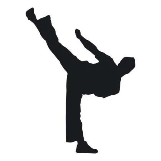 Szablon malarski 02X 21 karate 1861