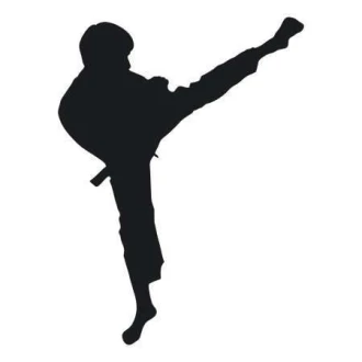 Szablon malarski 02X 21 karate 1862