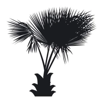Szablon malarski palma 2042