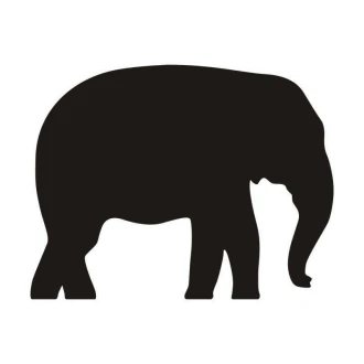 Naklejka kredowa 069 słoń