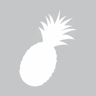 Tablica suchościeralna ananas 380