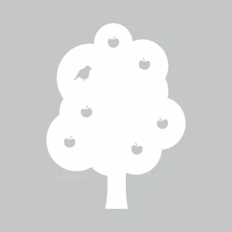 Tablica suchościeralna drzewo 244