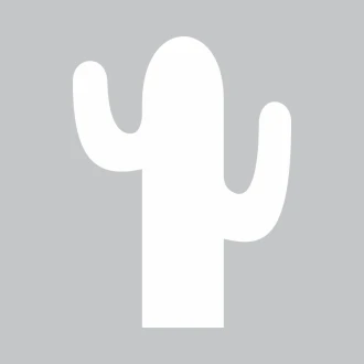 Tablica suchościeralna kaktus 297