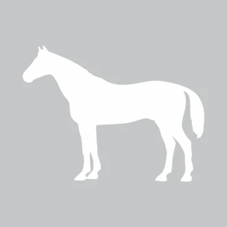 Tablica suchościeralna koń 330