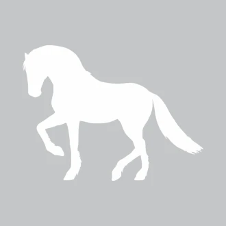 Tablica suchościeralna koń 331
