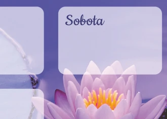 Tablica suchościeralna plan tygodnia niebieska kwiat lotosu 351
