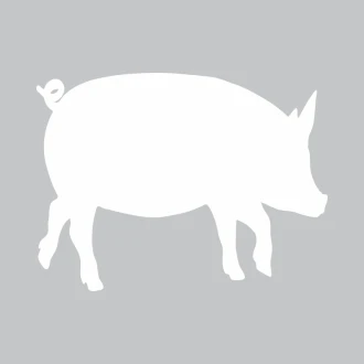 Tablica suchościeralna świnka 353