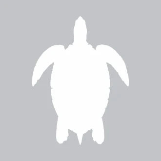 Tablica suchościeralna żółw 365