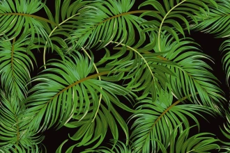 Tapeta na ścianę Tropikalne, zielone liście 0419